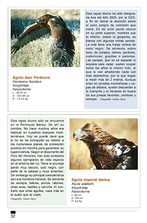 Aves en el Henares
