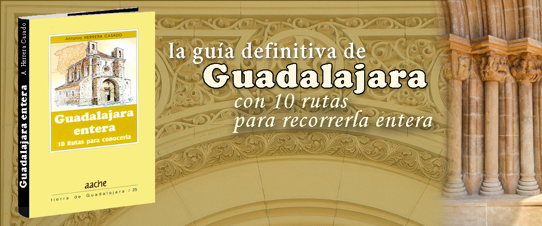 Guadalajara Entera
