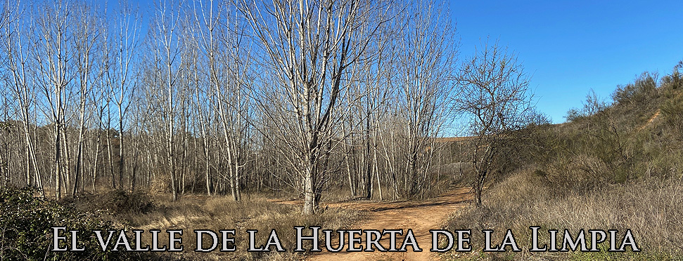 Viaje al Valle de la Huerta de la Limpia