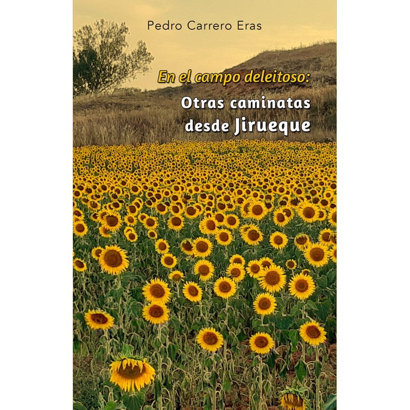Fuero de Cuenca