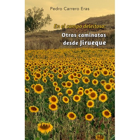Fuero de Cuenca