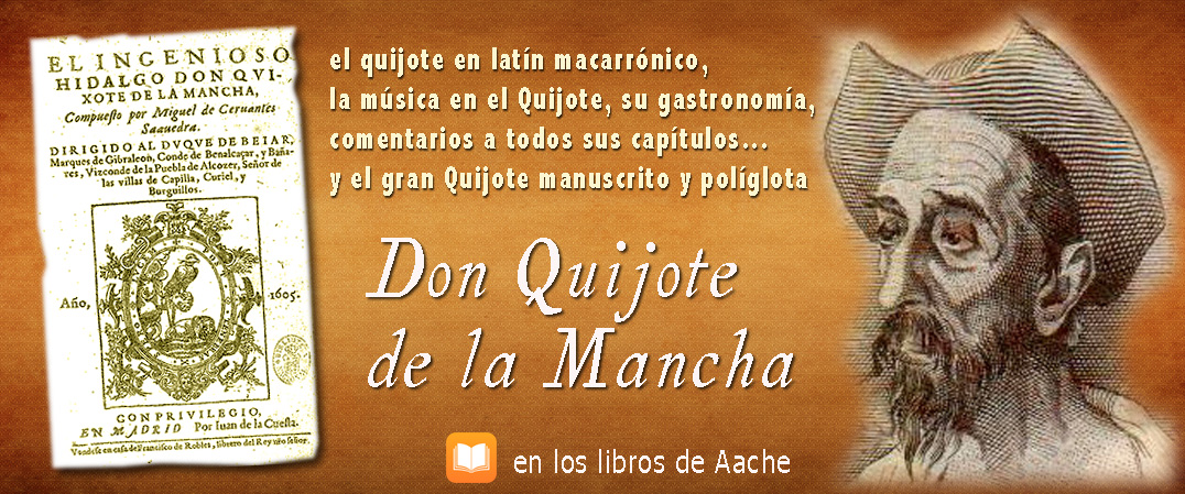 don quijote de la mancha por aache