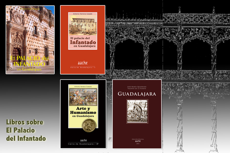 Palacio del Infantado de Guadalajara - Libros