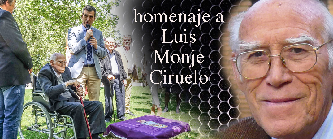 Luis Monje Ciruelo