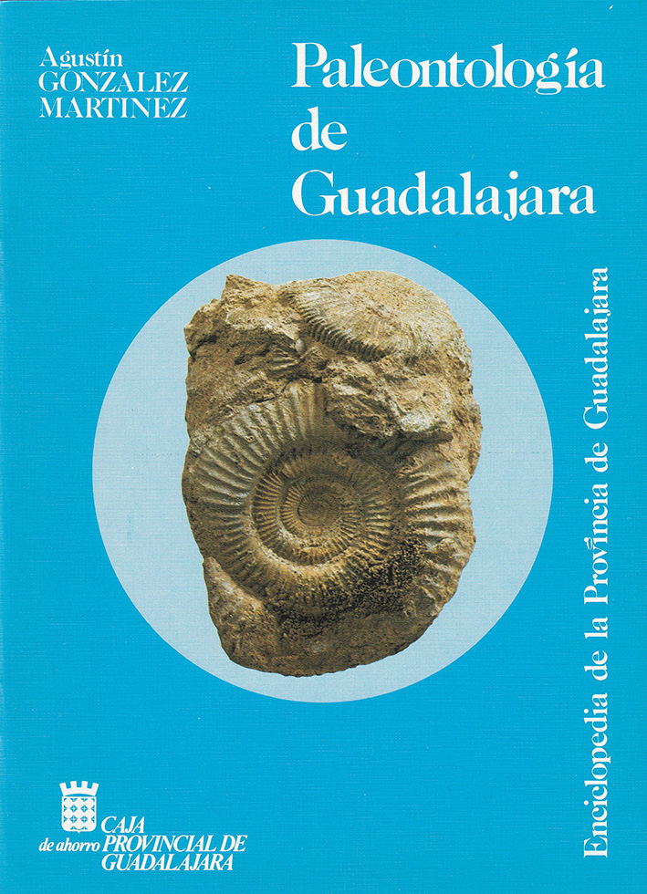 Enciclopedia de la provincia de Guadalajara